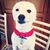 Michael Long Huynh's profile image