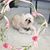 Tracy Guthrie Gonzales's profile image