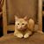 Deb Lynn Evans's profile image