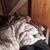 Jessica Keiser's profile image