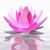 Mary Jean Zarick's profile image