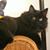 Regina Perzy-Dengler's profile image