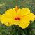 Richard Fethiere's profile image