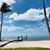 Susan Stanley McGlynn's profile image
