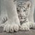 Angela Musselman's profile image