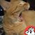 Sue Thornburg's profile image