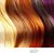 Robyn Louisell's profile image