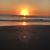 Rosalinda Arredondo's profile image