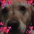 Cory Worden's profile image