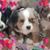 Cindy Gernenz-Heuer's profile image