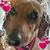 Stacie Hepner's profile image