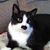 Robyn Cobb's profile image
