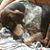 Jeanine Fitzgerald's profile image