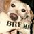 Bob Byerwalter's profile image