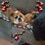 Lea Ann Petersen Bruneau-Steve's profile image