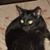 Marie Tropeano-Albano's profile image