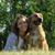 Kayla Maylum's profile image