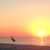 Kathy Brandt Chagnard's profile image