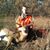 Brandon Bork's profile image