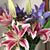 Dianne Dunmire's profile image