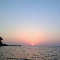 Sue Niccum's profile image