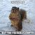 William Darche's profile image