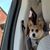 Marg Grenda's profile image