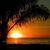 Bobbi Phillips Rees's profile image