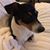 Debra Laukaitis's profile image