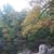Molly R. Lick's profile image
