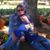 Kristy Cox's profile image