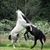 Wendy Olson's profile image