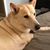 Kim Safley's profile image
