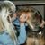 Katie Thieman's profile image