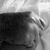 Cherie Tyson Wienszak's profile image