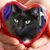 Mark Jessup's profile image