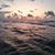 Debra Ovalle's profile image