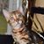 Darlene Sato's profile image