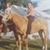 Lori Boughton's profile image