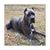 Monty Nagem's profile image