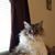 Tammy Riggle's profile image