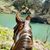 Yvonne Alcacio Gerhardt's profile image