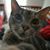 Mary Wilken-Myers's profile image