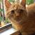 Steve McVey's profile image