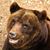 Ricky Brewster's profile image