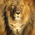 James Spillman's profile image