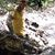 Lester Maurer's profile image