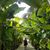 Marlena Ostafin's profile image