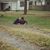 Liz Hernandez Boudreaux's profile image