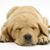 Cindy AndGeorge Lonnen's profile image